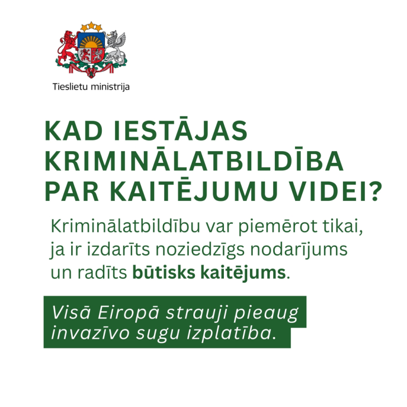 Invazīvie