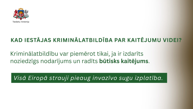 Invazīvie