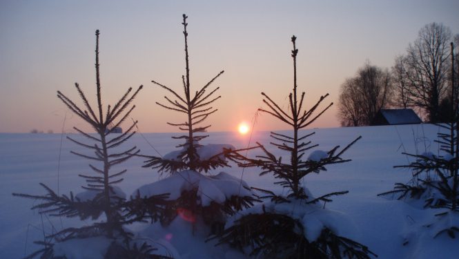 Gaišus Ziemassvētkus un panākumiem bagātu Jauno 2019. gadu!