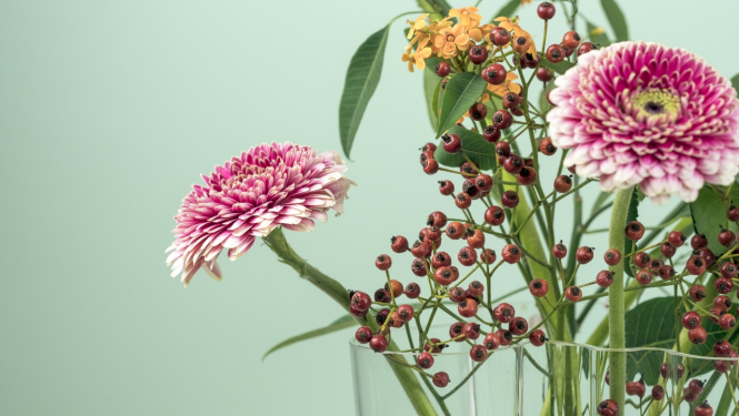 Tieslietu ministrija sveic Valsts zemes dienestu pastāvēšanas 25. gadadienā