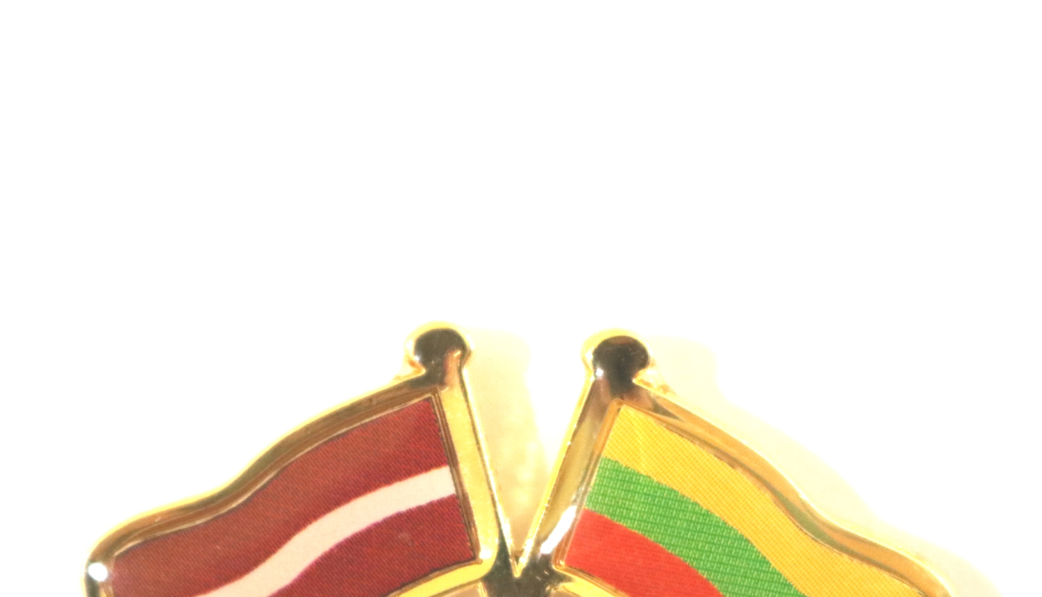 Dzintars Rasnačs uzaicina Lietuvas tieslietu ministri darba vizītē apmeklēt Latviju