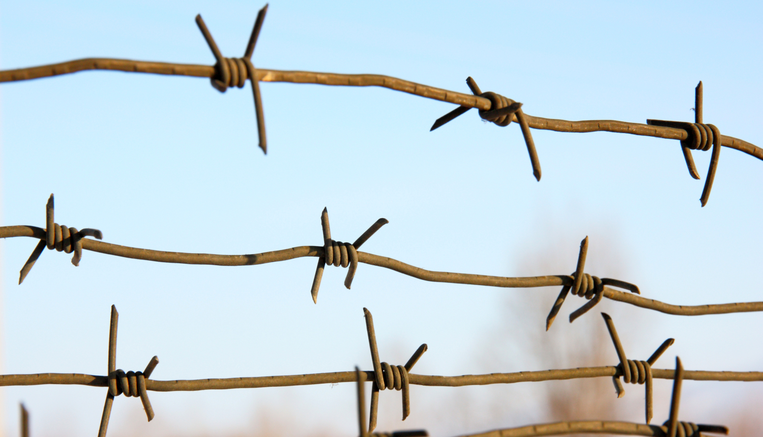 Informēs par ieslodzījuma vietu infrastruktūras attīstības īstenošanas gaitu