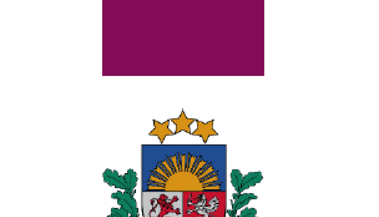 2016. gadā Valsts valodas centrs aktīvi pievērsies valsts valodas lietojuma nodrošināšanai, nevis sodīšanai