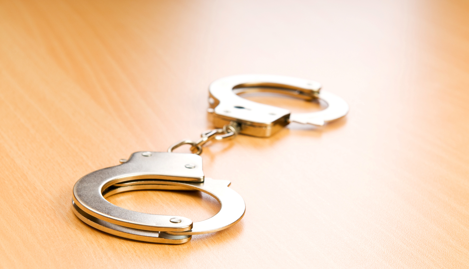 Informēs par aktualitātēm elektroniskās uzraudzības jomā