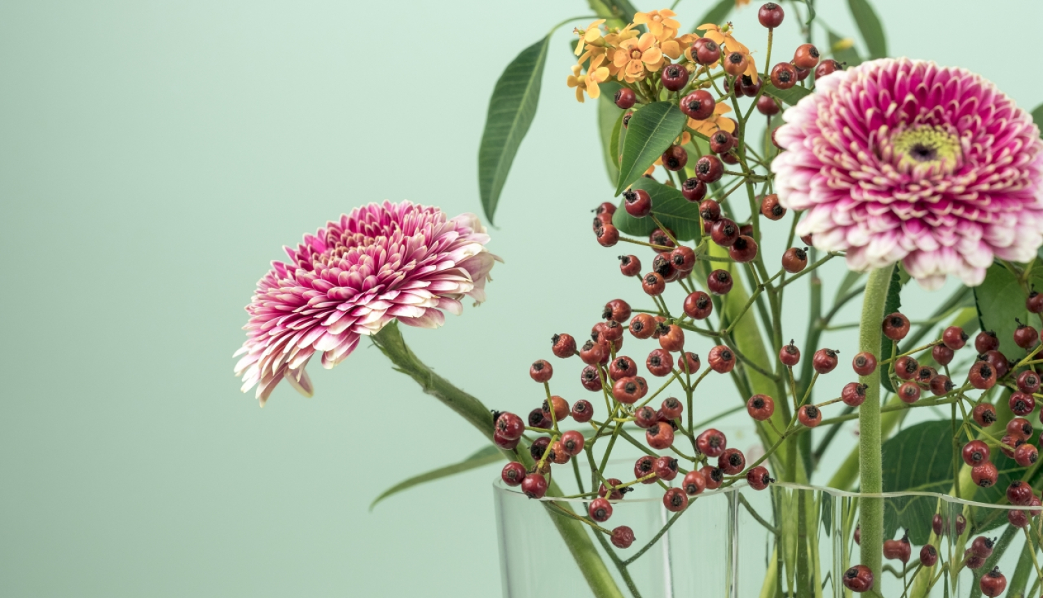 Tieslietu ministrija sveic Valsts zemes dienestu pastāvēšanas 25. gadadienā