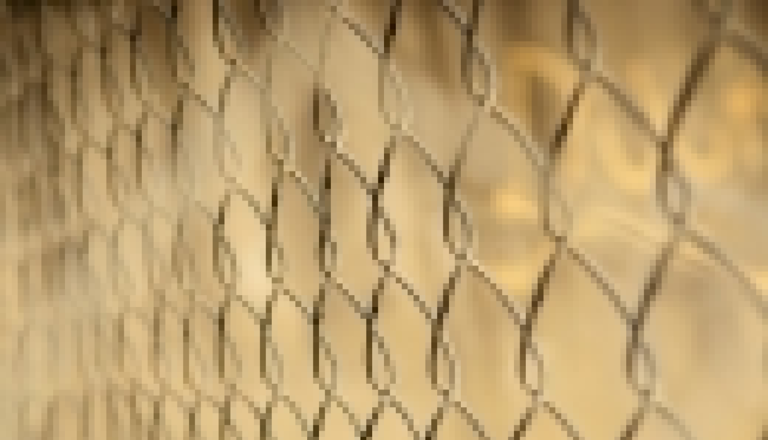 Eiropas Probācijas organizācija: „Projekta ietvaros Latvija meklēs alternatīvas ieslodzījumam”