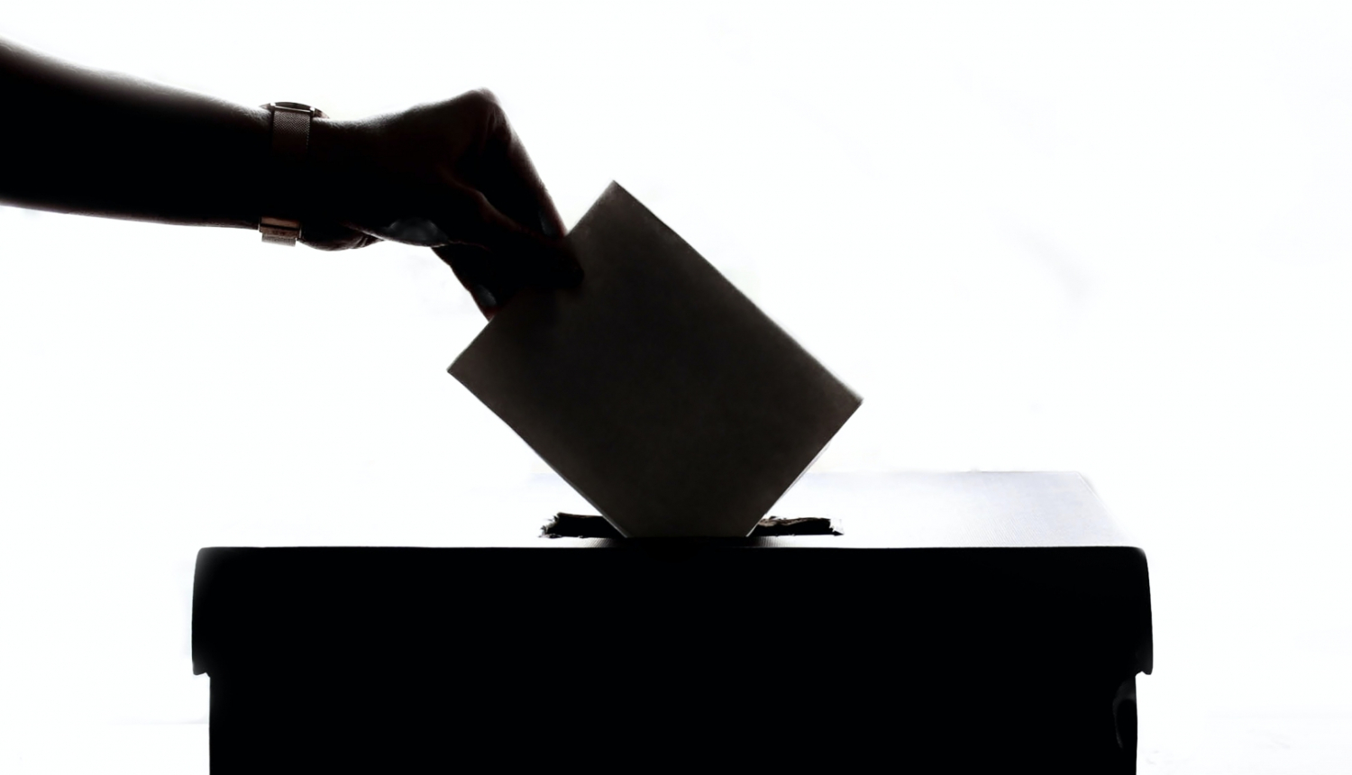 Priekšvēlēšanu aģitācija