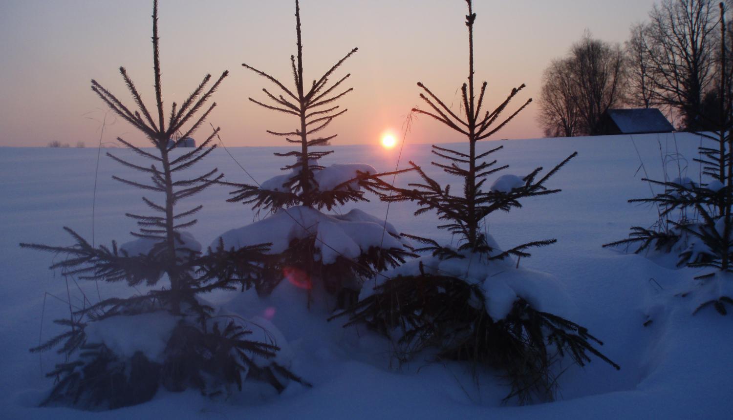 Gaišus Ziemassvētkus un panākumiem bagātu Jauno 2019. gadu!